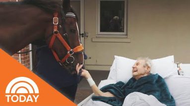 Family Brings Horse To Hospice Heart To Shock Loss of life Man | TODAY